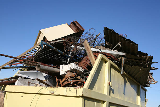 Best Yard Waste Removal  in Denmark, WI